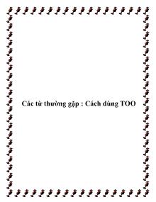 Các từ thường gặp : Cách dùng TOO