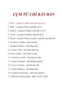 Cụm từ chỉ bầy đàn