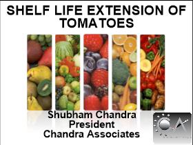 Shelf life extension of tomatoes