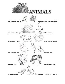 Tiếng Anh trẻ em - Chủ đề động vật